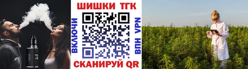 МАРИХУАНА сатива Камызяк
